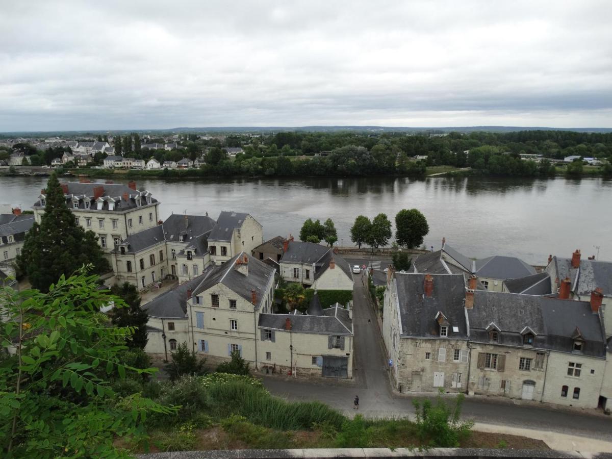 Vue Splendide Sur Chateau 索米尔 外观 照片